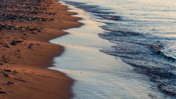 Красные приливы на Азовском море угрожают здоровью туристов